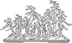 图7—8 综合丛林组织法 图7—8 综合丛林组织法