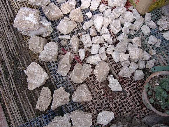 点击打开原图 图解 树石水旱盆景怎么制作的详细步骤