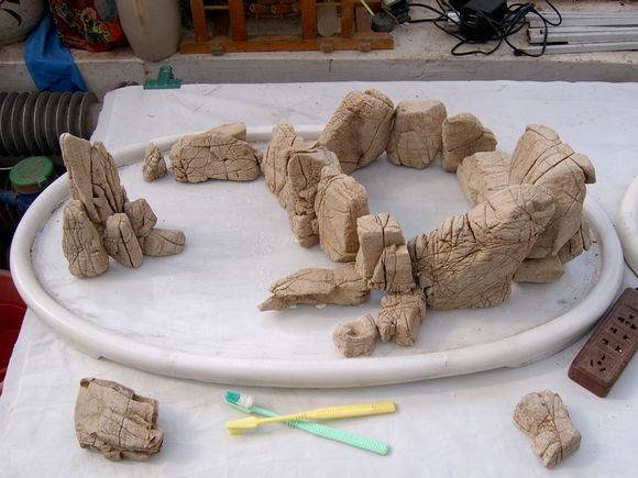 点击打开原图 图解 树石水旱盆景怎么制作的详细步骤