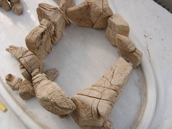 点击打开原图 图解 树石水旱盆景怎么制作的详细步骤