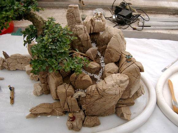 点击打开原图 图解 树石水旱盆景怎么制作的详细步骤