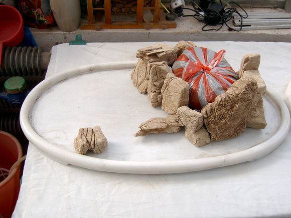 定位盆景 图解 树石水旱盆景怎么制作的详细步骤