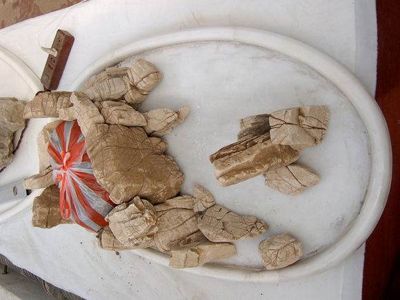 点击打开原图 图解 树石水旱盆景怎么制作的详细步骤