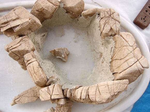 点击打开原图 图解 树石水旱盆景怎么制作的详细步骤