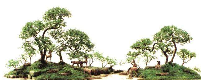 树石盆景研究协会联展