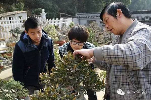游走在山水树石间的盆景艺术大师冯连生