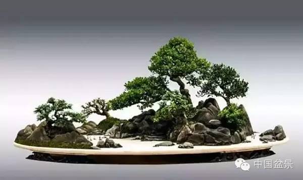 游走在山水树石间的盆景艺术大师冯连生