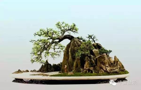 游走在山水树石间的盆景艺术大师冯连生