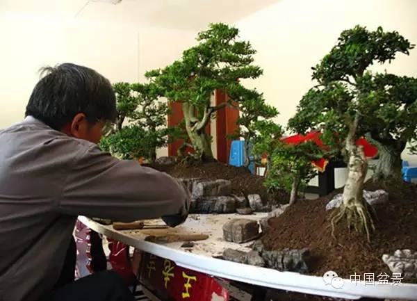 游走在山水树石间的盆景艺术大师冯连生