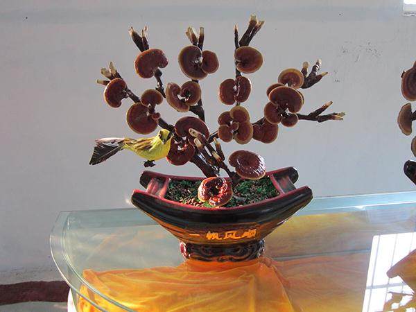 浙江金华将举办2011中国赏石盆景交易会