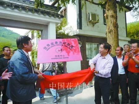 世界盆景交流中心落户宁波 图片