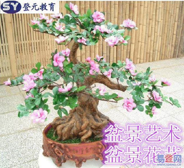 如皋市花木盆景商会举办青年农民电商培训班