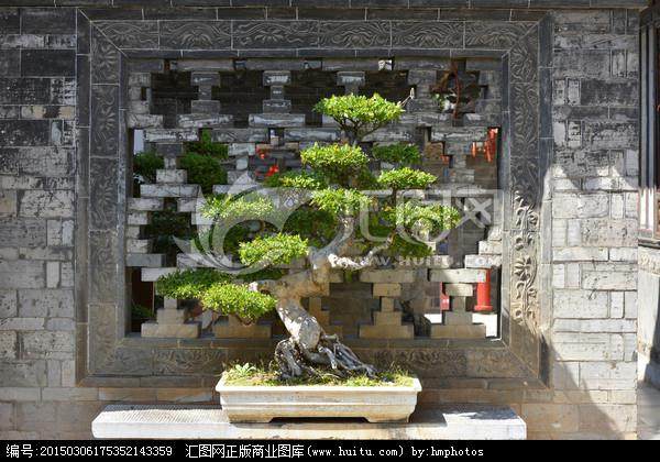 中国花木盆景产业发展论坛在江苏如皋举行