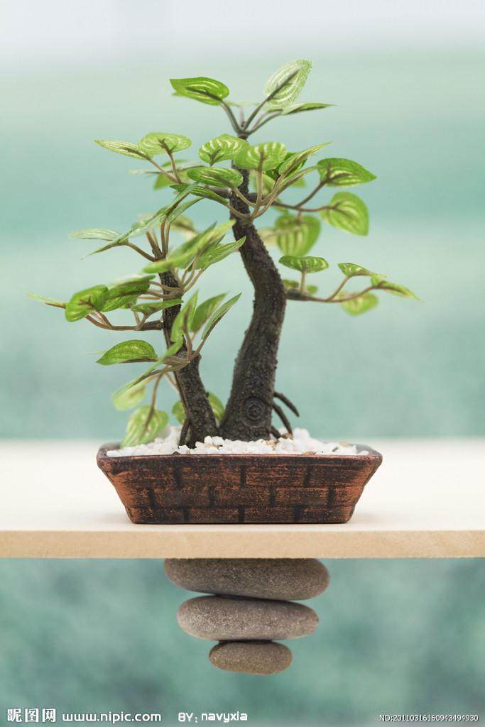 重庆小盆景带动农民增收