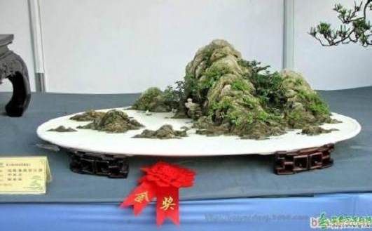 山水盆景制作中的六忌与六法