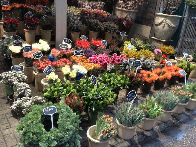 武汉滨江根桩盆景花鸟批发市场具体地址是哪？