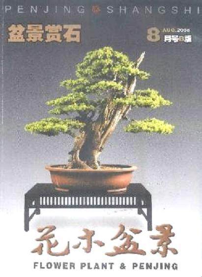 花木盆景杂志社考察广东、海南盆景
