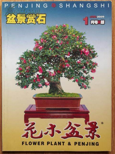 花木盆景杂志社召开干部职工大会