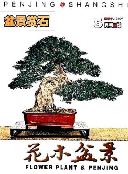 《花木盆景》盆景赏石杂志社的性质是？是什么级别？