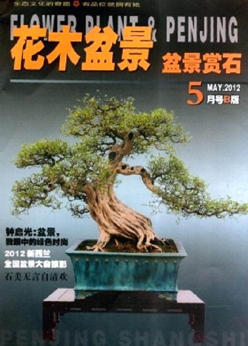 花木盆景杂志社广告口号征集