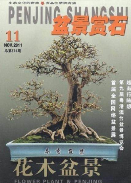 《花木盆景》杂志由湖北省美化委员会主办