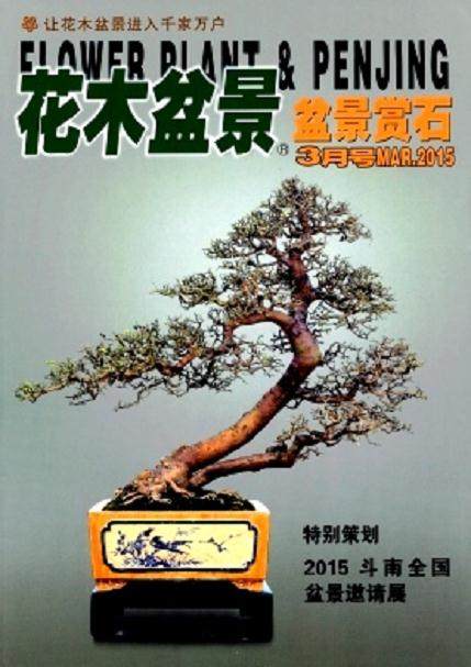 好消息-2012年《花木盆景》杂志开始订阅啦！