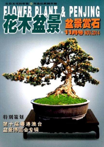为花木盆景杂志创刊20周年喝彩