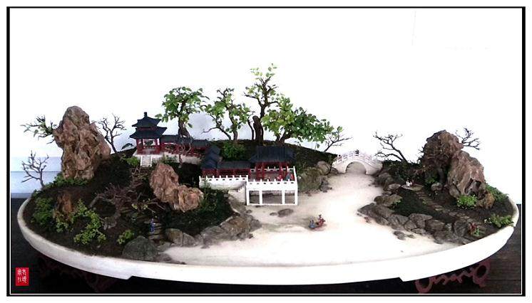 山水盆景的植物种植