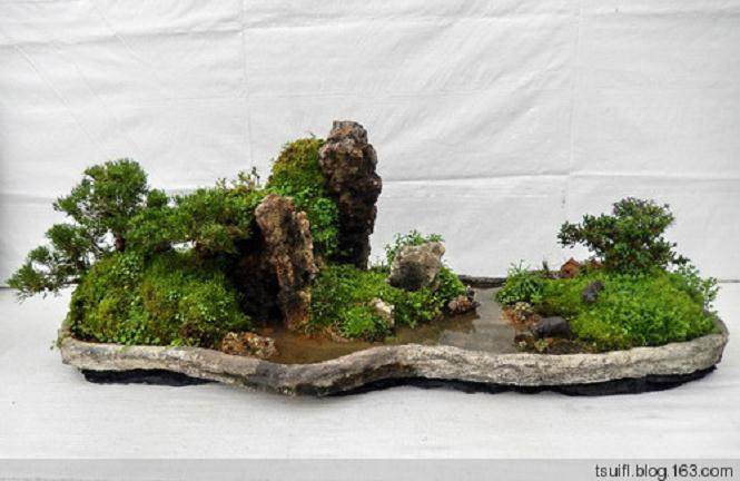 园博园将添山水盆景