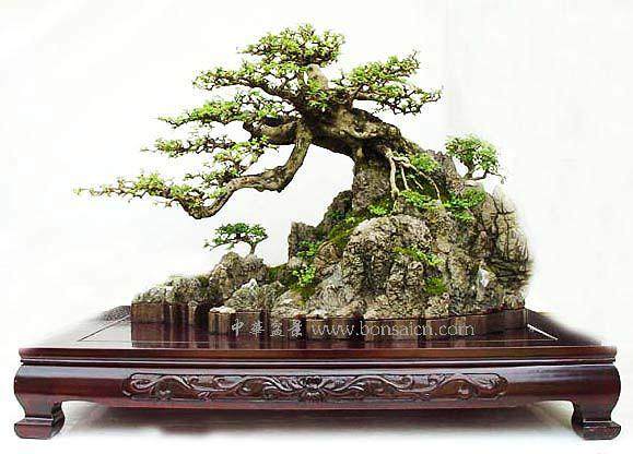 山水盆景制作技法