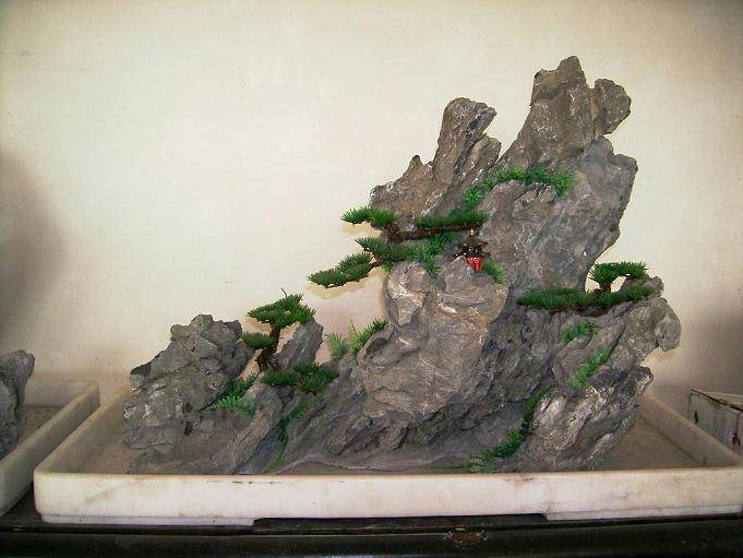 此次展出的300多盆古木盆景包括树桩盆景和山水盆景