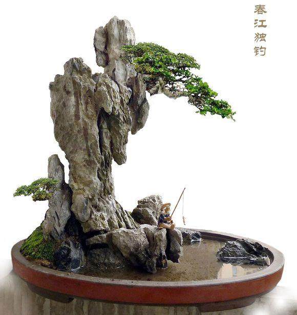 山水盆景制作之六 千层石