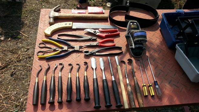 盆景制作工具的详细用法