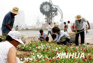 天津站十万盆鲜花迎奥运