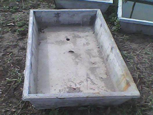 如何在盆景花盆中种苹果树？