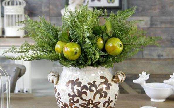 &ldquo;刺柏&rdquo;是梨、苹果、山楂等果树的&ldquo;克星&rdquo;