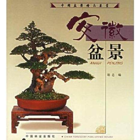 安徽蚌埠举办盆景展览