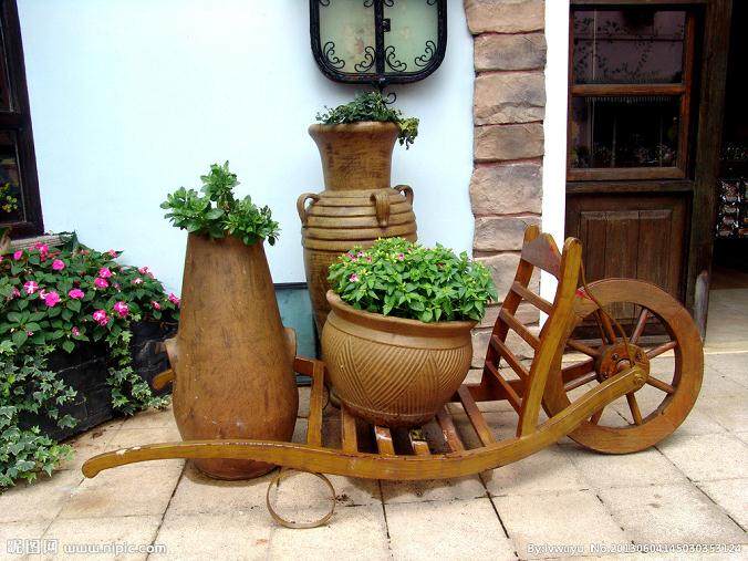 福建漳浦“花博会”领跑花卉业