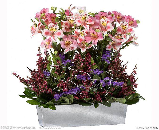 茅山将成花卉盆景