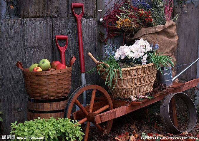 花卉盆景展现园林精华