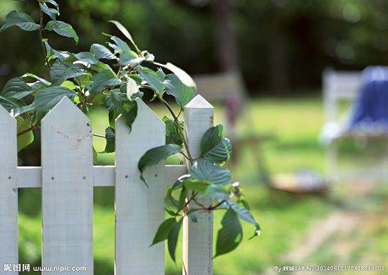 南京花卉盆景园艺交易中心