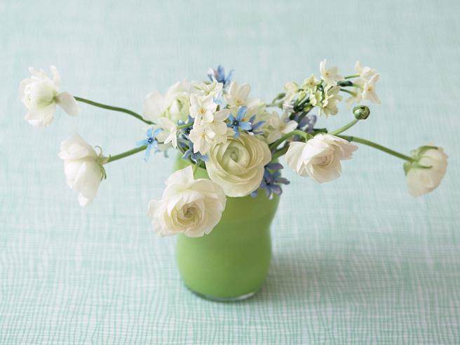 荆州花卉盆景展销中心