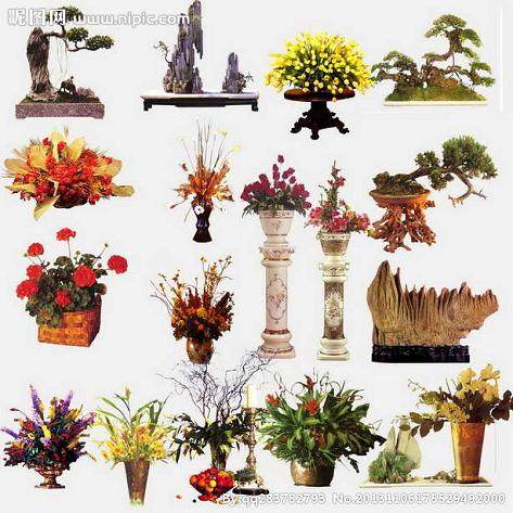 廊坊苗木花卉盆景有限公司