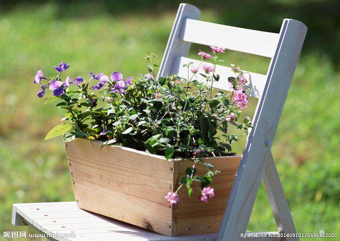 承德花卉盆景艺术