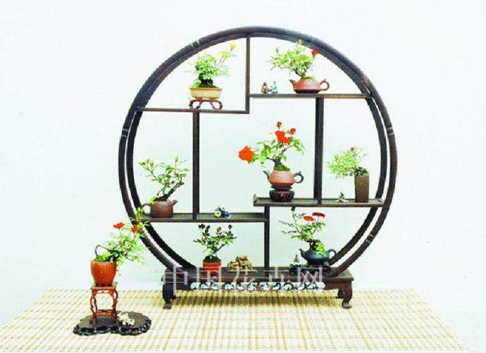 河池花卉盆景协会