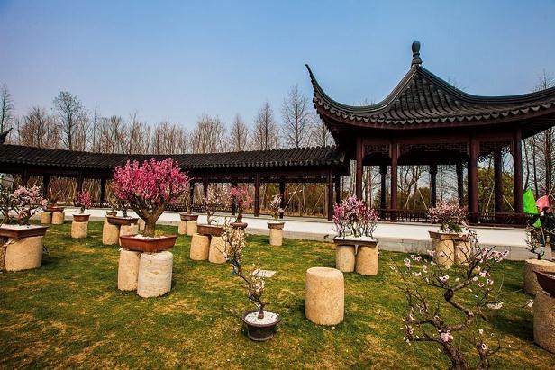 台州南山花卉盆景园