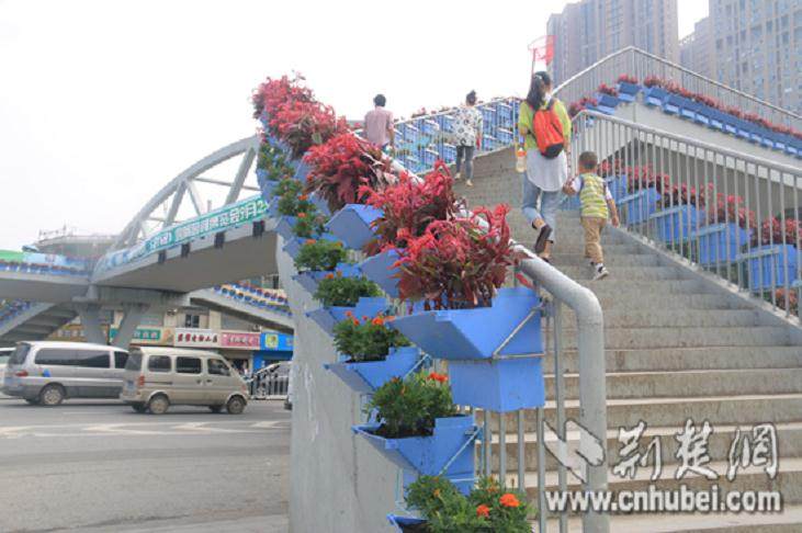 600件国际盆景花卉作品海口参展