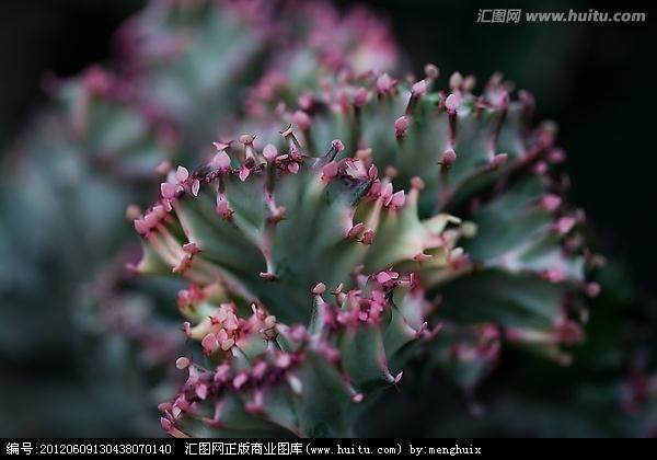 四川省花卉协会盆景艺术专业委员会
