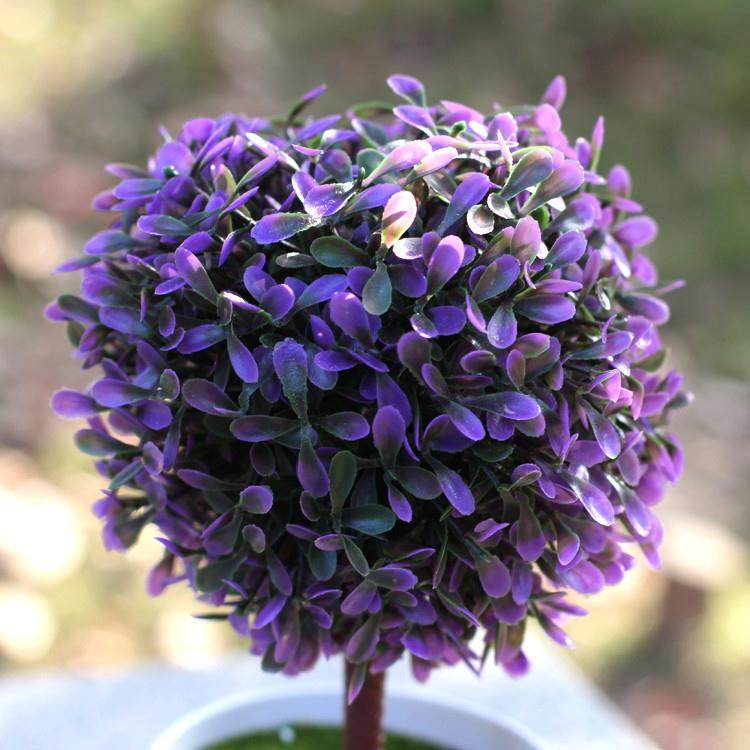 国际盆景雅石展签约仪式在陈村花卉世界新闻中心举行