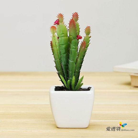 福清市花卉盆景协会交流盆景栽培经验体会